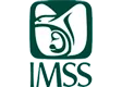 Ir IMSS